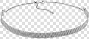 Pandora   Title   Tag   Pandora Reflexions Choker  HD Png Download