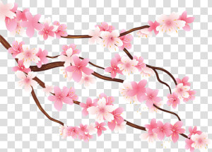 Free Png Pink Spring Branch Png Images Transparent   Cherry Blossom Art Png  Png Download