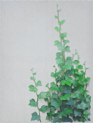 Vines  Climbing Plant Cotton Linen Wall Tapestry 60   Watercolor Vines  HD Png Download