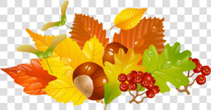 Fall Clipart Transparent Background   Transparent Background Fall Clipart  HD Png Download