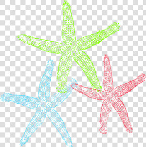 Starfish Public Domain Clipart   Free Starfish Clip Art  HD Png Download