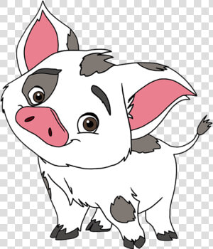 Disney Moana Pua Png Cartoon   Pua Moana Coloring Page  Transparent Png