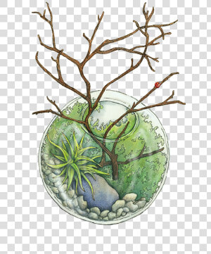 Terrarium Watercolor  HD Png Download