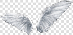  angel  wings  sticker  overlay  aesthetic  freetoedit   Angel Wings Transparent Background  HD Png Download