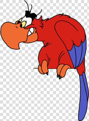 Iago Aladdin Png Pic   Disney Iago Png  Transparent Png