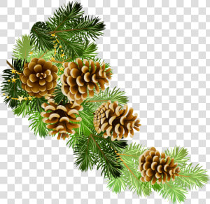 Poinsettia Clipart Pine Garland   Christmas Greenery Clip Art  HD Png Download