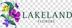 Lakeland  Fl Florist   Flower  HD Png Download