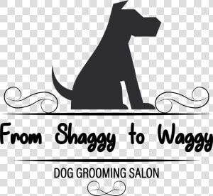 From Shaggy To Waggy  HD Png Download