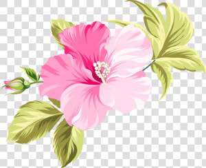 Flower Hawaii Clip Art   Pink Beautiful Flower Vector  HD Png Download