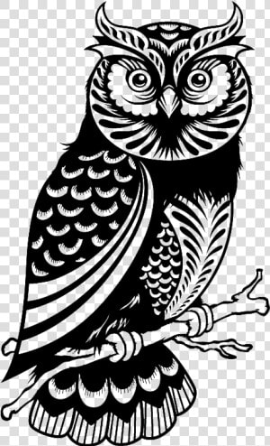 Wise Owl Png Black And White   Silhouette Owl Clipart Black And White  Transparent Png