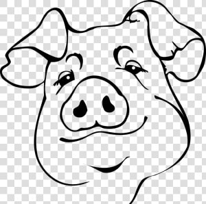 Full Size Of How To Draw An Easy Pig Face A Cute Drawing   Pig Face Drawing  HD Png Download