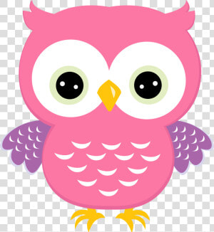 Transparent Owl Vector Png   Cute Owl Clipart  Png Download