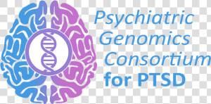 Psychiatric Genomics Consortium For Ptsd   Psychiatric Genomics Consortium Ptsd  HD Png Download