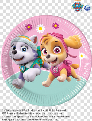 Paw Patrol Skye Everest Mint Tableware Party Decorations   Skye Y Everest Paw Patrol  HD Png Download