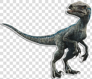 Velociraptor Transparent Secondary   Velociraptor Blue  HD Png Download