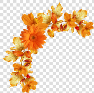  flowers  flores  orange  naranja  yellow  amarillo   Flores Png Naranjas  Transparent Png