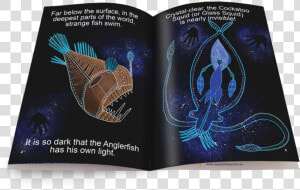 Indigenous Sea Creatures Educational Big Book Example   Lionfish  HD Png Download