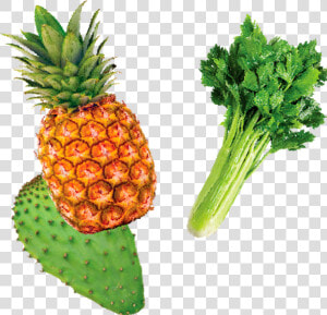 Piña Apio Y Nopal   Pineapple  HD Png Download