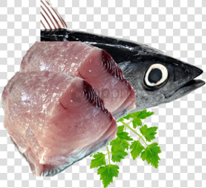 Free Png Fish Meat Png Png Image With Transparent Background   Fish Meat Png  Png Download