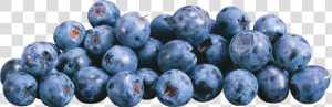 Blueberries Png  Transparent Png