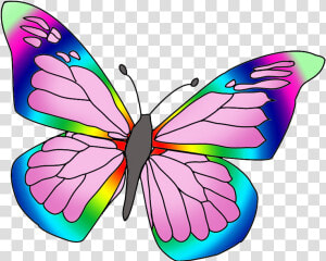 Rainbow Colored Butterfly Image   Beautiful Butterfly Pictures Color  HD Png Download