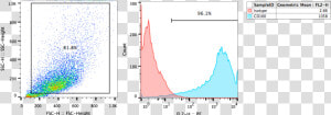 Https     store   Crownbio     Plot  HD Png Download