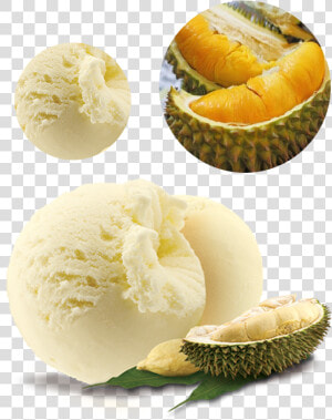 Transparent Durian Png   Durian Ice Cream Scoop  Png Download