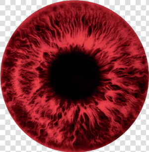  redeye  red  redeyes  pupil  redpupils  redpupil  pupils  HD Png Download