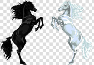 Arabian Horse Stallion Euclidean Vector Illustration   Black Horse Png Free  Transparent Png