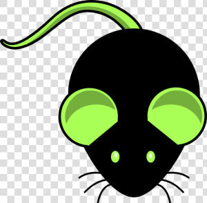 C57bl 6 With Brighter Ears Svg Clip Arts   Cute Clipart Mouse  HD Png Download