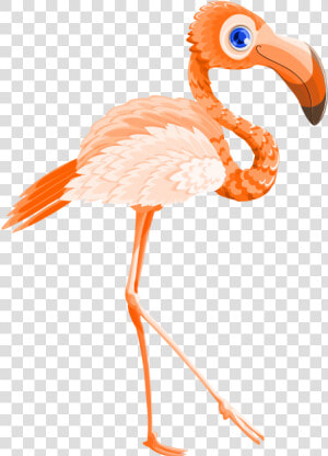 Flamingo Bird Vector Png Transparent Image   Transparent Flamingo Bird Vector  Png Download