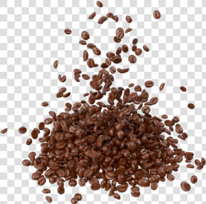 Scattered Coffee Bean Png  Transparent Png