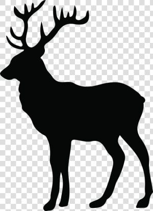 Stag Silhouette At Getdrawings   White Tail Deer Silhouette  HD Png Download