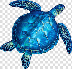 Turtle No Background   Blue And Green Sea Turtles  HD Png Download