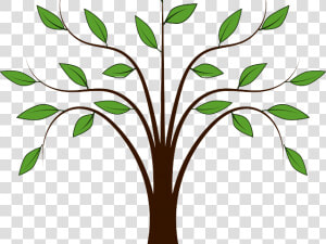 Roots Clipart Animated Tree   Cartoon Tree Branches Png  Transparent Png