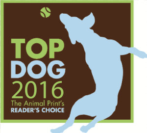 2016 Top Dog Winners Ri Animal Medical Center And Four   Poster  HD Png Download