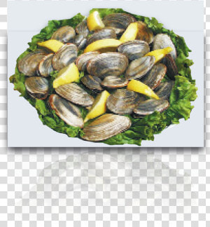 Steamed Clams   Mussel  HD Png Download