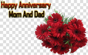 Happy Anniversary Mom And Dad Png Free Background   Free Happy Anniversary Mom And Dad  Transparent Png