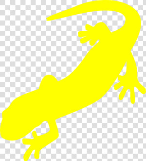 Salamander Png  Transparent Png