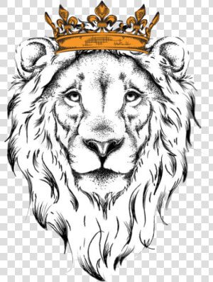  leao  lion  rei  jesus  leão  freetoedit  picsart   Outline Lion Face Drawing  HD Png Download