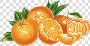 Orange Juice Download   Orange Png  Transparent Png