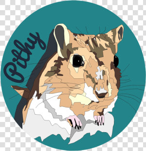 Grey And Brown Gerbil Graphic   Ragdoll  HD Png Download