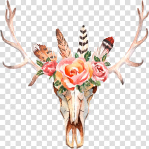 Bohemian Antlers Png   Antlers With Flowers Background  Transparent Png