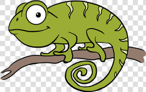 How To Draw Chameleon   Chameleon Drawing Easy  HD Png Download