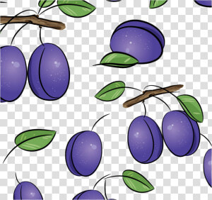 Clip Art Drawing Royalty Free Illustration   Plums Drawings  HD Png Download