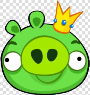 Angry Birds Pig Png Photo   Transparent King Pig Angry Birds  Png Download