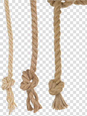 Sailor Clipart Rope   Knot Rope Png  Transparent Png