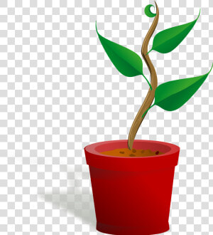 Getting To Know Plants  HD Png Download