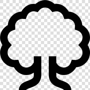 Oak Tree Icon Tree   Tree Icon Black And White  HD Png Download