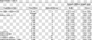 Calories Intake Per Day According To Weight  HD Png Download